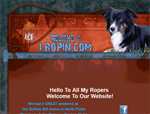 Tablet Screenshot of lropin.com